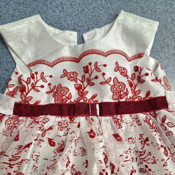 Jona Michelle Formal Dress Size 3 Tall, Style#CO4783 - Picture 4 of 11